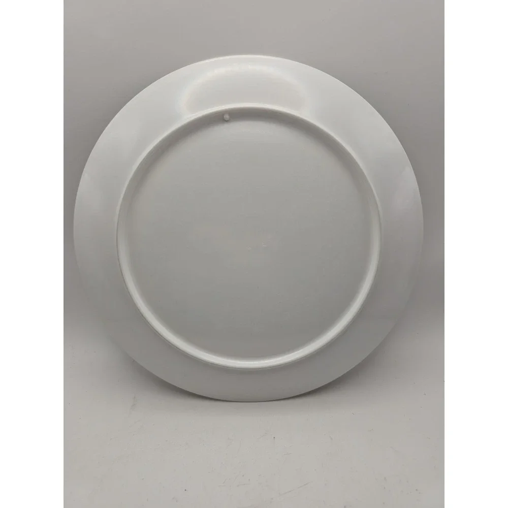 Vintage 1989 McDonald's Plate Hamburger University Ronald McDonald Hamburglar